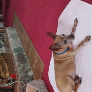 Meet your Posher, Gloria